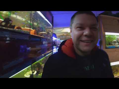 Видео: Деревенский зоомагазин в Германии.