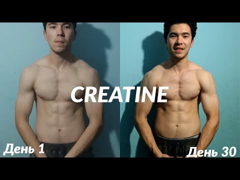 Видео: Я Принимал CREATINE 30 Дней и Вот Что со Мной Стало