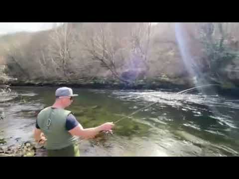 Видео: Дебела Пъстърва на дебела река !