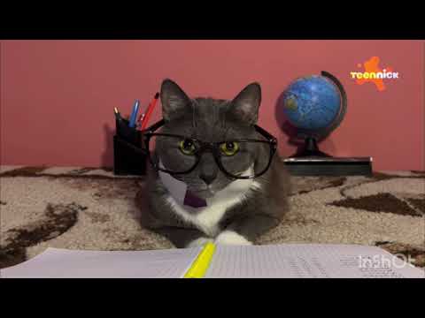 Видео: Начало вещание TeenNick Исламсков (11.01.2025)