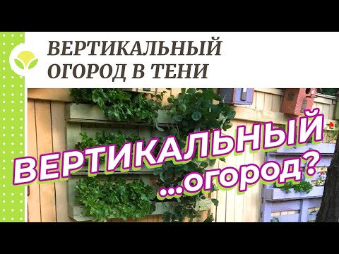 Видео: Вертикальный огород в тени