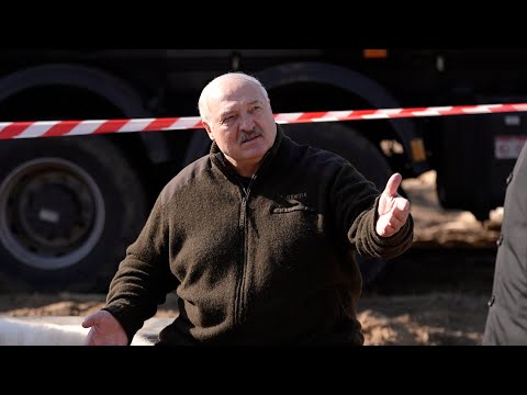 Видео: Лукашенко: Чутьём деревенским унюхал, что ты должен с кадрами общий язык найти! // Полесье