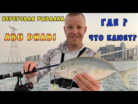 Видео: Рыбалка с  берега  в ОАЭ . Береговая рыбалка в Эмиратах
