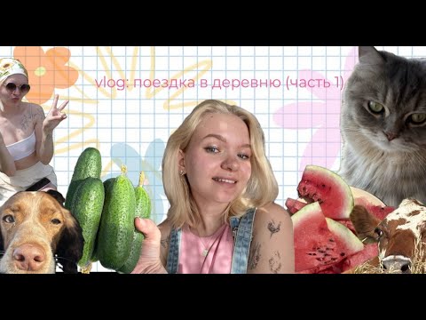 Видео: влог | приключения в деревне (часть 1)
