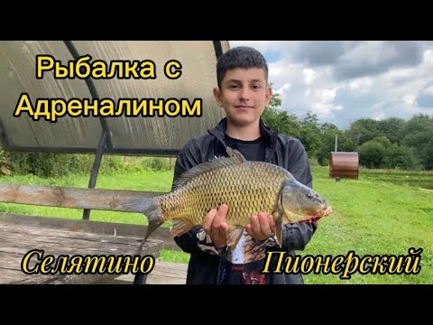 Видео: Карп утащил удочку .Рыбалка в Селятино. Московская область.