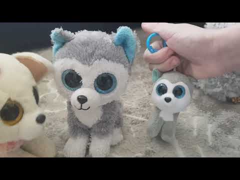 Видео: Типы глазастиков в самолёте. Снято совместно с @lpsty5799 .