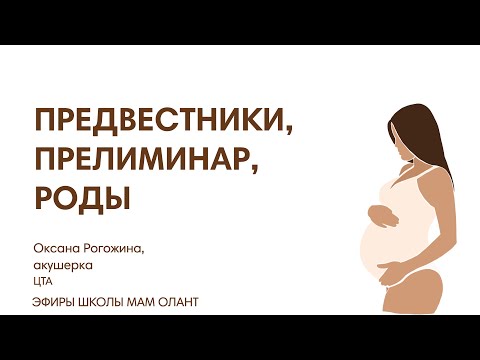 Видео: ПРЕДВЕСТНИКИ, ПРЕЛИМИНАР, РОДЫ