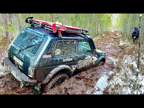 Видео: СТАРАЯ ЗАБЫТАЯ ДОРОГА ЧЕРЕЗ БОЛОТО | КУЗНЕЦОВА ГРИВА