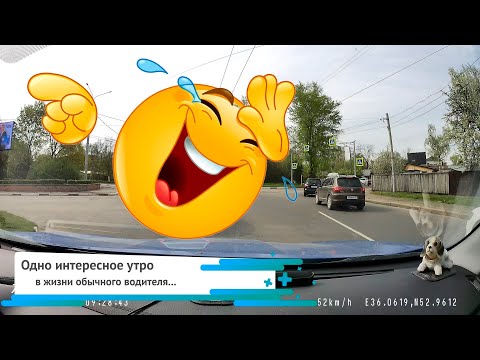 Видео: Одно интересное утро...