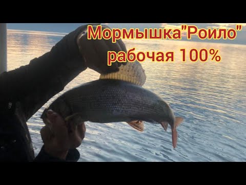 Видео: Мормышка на Хариуса " Роило". Рабочий вариант 100%.