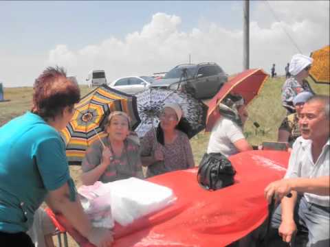 Видео: Узунларда койдешлер корюшюви