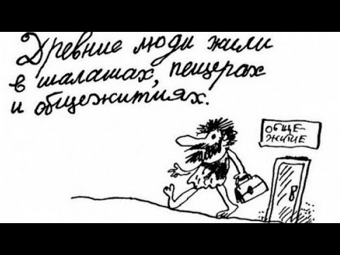 Видео: Шедевральные фразы из школьных сочинений