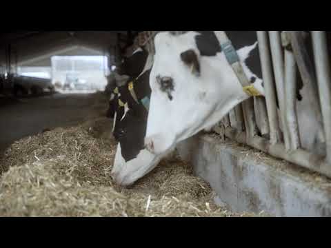 Видео: Ферма Куртеви - част от въглеродната програма на AGviser- Carbonsafe