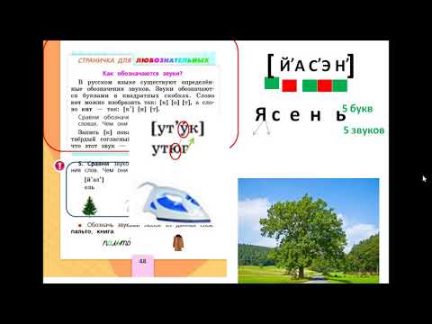 Видео: 1 класс. Звуки и буквы. Транскрипция слов