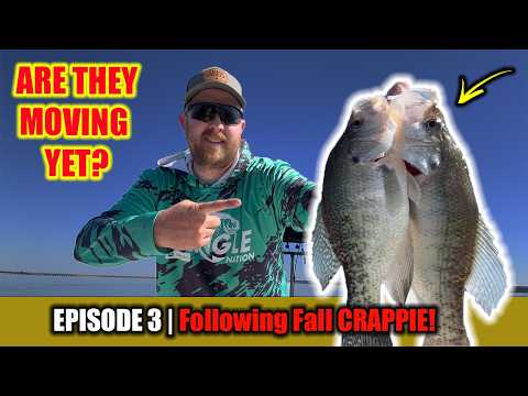 Видео: НАЙДИ ОСЕННЕГО КРАППИ СЕЙЧАС!! | Осенняя рыбалка на краппи: лови и готовь! |