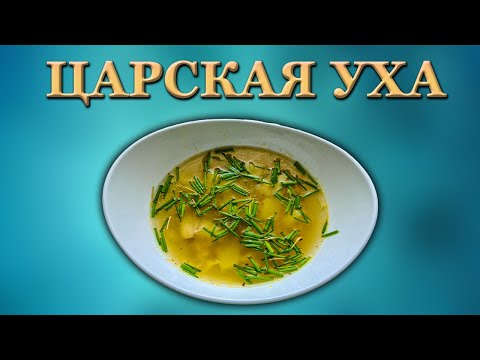 Видео: ЦАРСКАЯ УХА ИЗ ЩУЧЬИХ ГОЛОВ. Один из самых вкусных вариантов приготовления. Hechtsuppe.