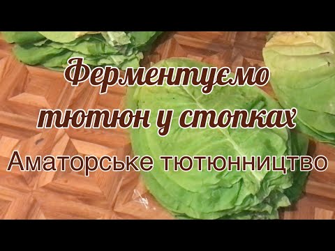 Видео: Тютюн. Ламаємо листя, ферментація у стопках. Аматорське тютюнництво.