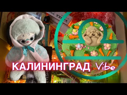 Видео: Выходные на чили🎂13 лет Снежане🍰Калининград 2025🧁