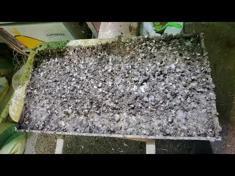 Видео: Не надо делать такие поддоны для помёта. В клетки для перепелов.