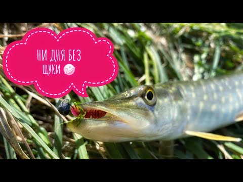 Видео: МОРМЫШИНГ НА ВОЛШЕБНОМ ПРУДУ