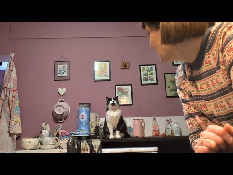 Видео: Видеоблог с миссис Д. — Старые схемы вязания и шитьё рождественских сумок