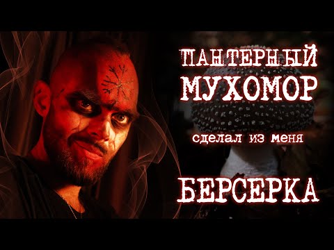 Видео: ПАНТЕРНЫЙ МУХОМОР | ПОЛНЫЙ ГАЙД от А до Я и ЛИЧНЫЙ ОПЫТ