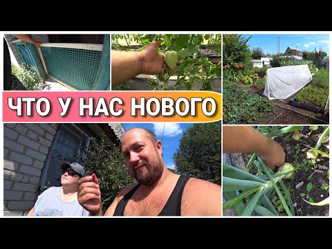 Видео: ВЛОГ! Что нового у нас на даче/Обо всем по не многу/Дачные будни/Семейный канал/Про жизнь Голдобиных