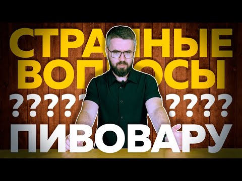 Видео: Топ странных вопросов пивовару