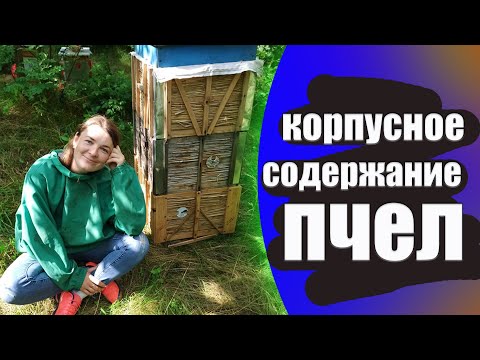 Видео: Как работать с корпусными ульями 300 рамка. двухкорпусное содержание пчел в 10 рамочных ульях