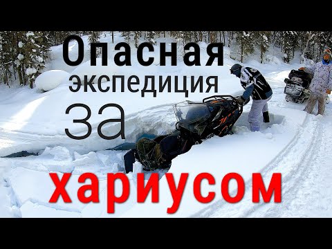 Видео: Да зачем бы мне нужен этот хариус/Опасная экспедиция на рыбное озеро/Новые сани для снегохода #1