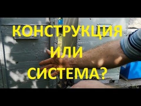 Видео: Улей Паливоды. Ответы.