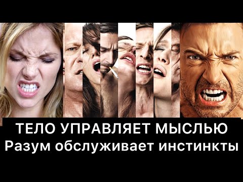 Видео: ТЕЛО УПРАВЛЯЕТ МЫСЛЬЮ | Разум обслуживает инстинкты