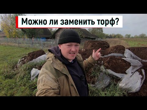 Видео: Есть ли замена торфу? // Какой субстрат нужен голубике