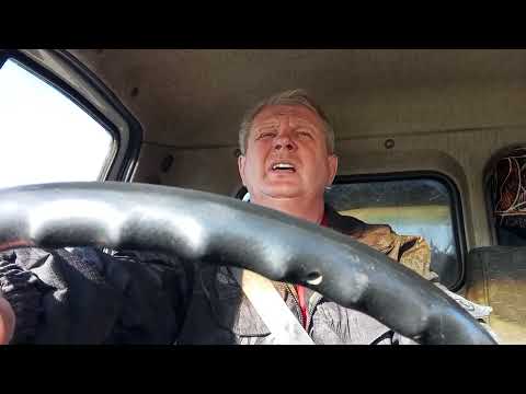 Видео: Молоко или жизнь? Немного мысли вслух.