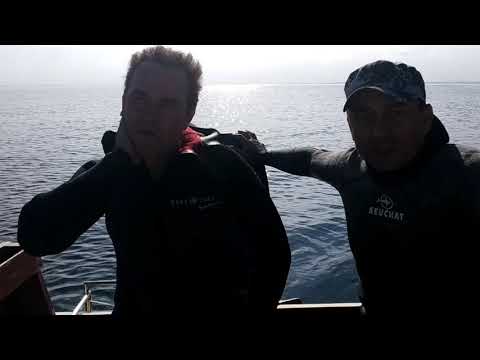 Видео: ПОДВОДНАЯ ОХОТА  Терёшкино и Плес