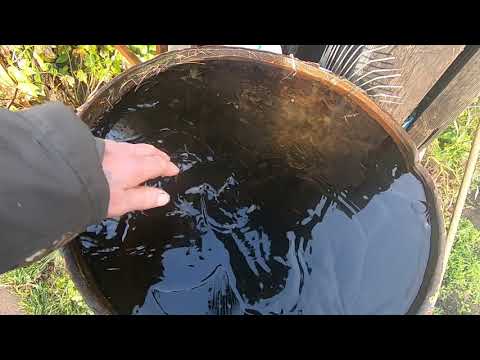 Видео: Первые заморозки и осенняя Куйтунка