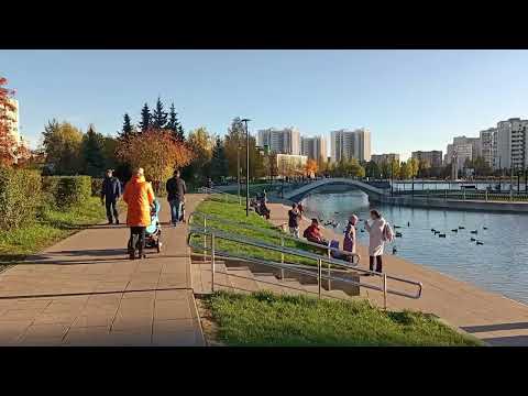 Видео: Зеленоград. Парк Михайловский пруд после реконструкции. 10 октября 2022. Понедельник. #зеленоград