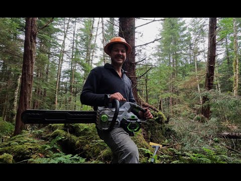 Видео: Мой первый день валки леса электрической цепной пилой — аккумуляторная цепная пила EGO 18 дюймов ...