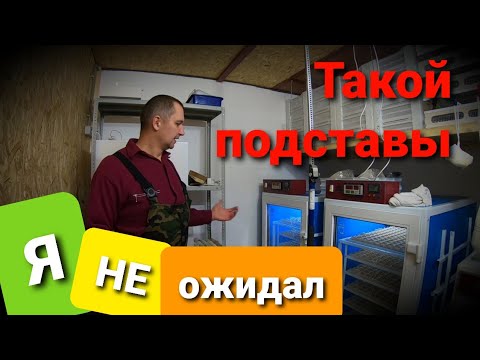 Видео: НОВЫЕ ИНКУБАТОРЫ В НОВЫЙ ИНКУБАТОРИЙ! Какие? И что нового?