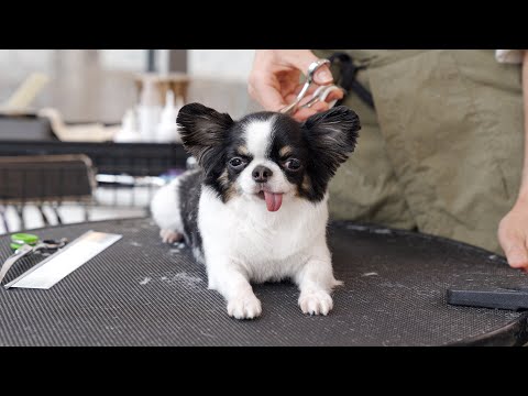 Видео: Я влюбился в нее.