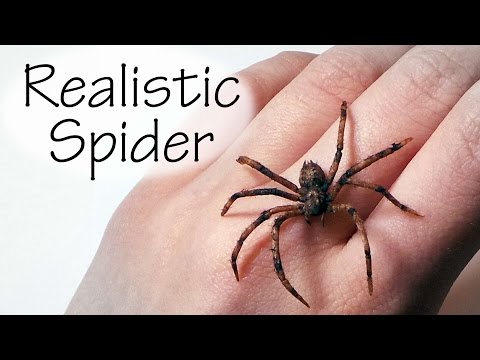 Видео: Простой/легкий; реалистичный урок по созданию паука из полимерной глины