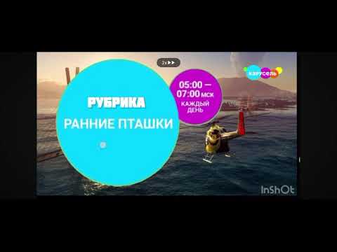 Видео: 28 июля 2025 г.