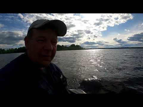 Видео: Селигер. Ловим судака на троллинг
