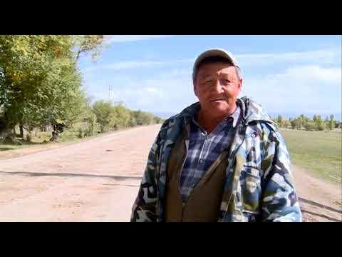 Видео: Апаз Адилет облустук денгээлде жол койгойун которуп чыкты