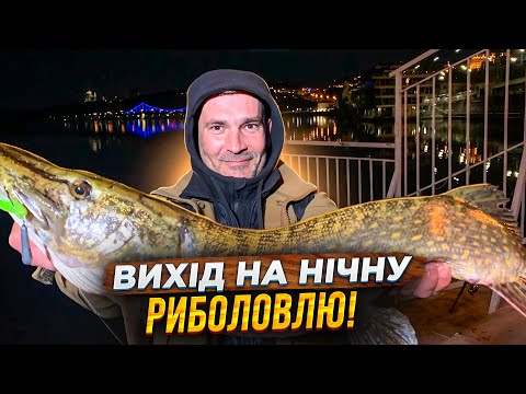 Видео: Трофейна нічна риболовля. Заради такого варто недоспати