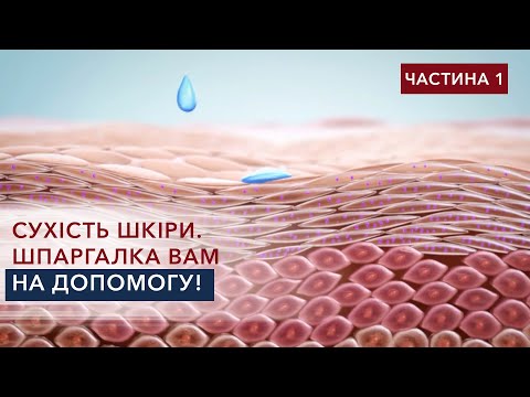 Видео: Сухість шкіри. Шпаргалка вам на допомогу! ЧАСТИНА 1