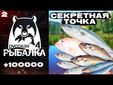Видео: РР4 ПУТЬ НОВИЧКА №2! НАШЕЛ СЕКРЕТНУЮ ТОЧКУ! ПЕРВЫЕ УСПЕХИ!