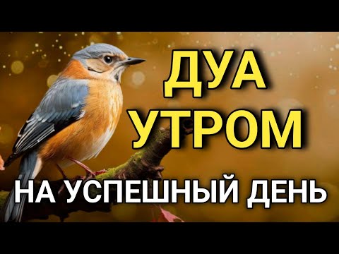Видео: ДУА УТРОМ САМЫЙ МОЩНЫЙ СТАРТ ДНЯ! 🤲☀️
