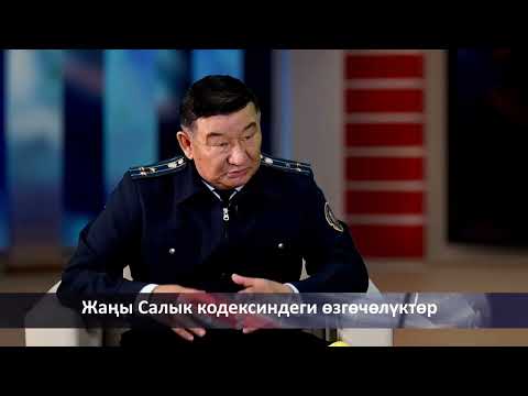 Видео: Салык кодексинин өзгөчөлүктөрү тууралуу