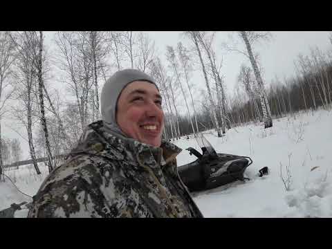 Видео: Солонцы от которых живность без ума